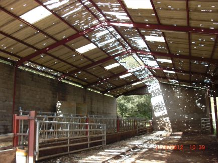 dégâts orage de grêle