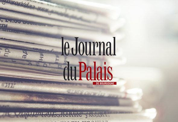 Journal du Palais France Filets