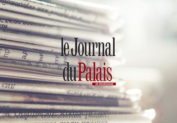 Journal du Palais France Filets